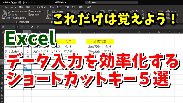 Excel　エクセル　ショートカットキー　データ入力