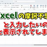 Excelの摩訶不思議？（1）と入力するとー１と表示されるのはなぜ？
