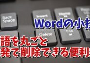 Wordで単語を丸ごと一発で削除できる便利ワザ