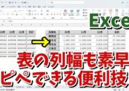 Excelの表を変更した列幅も含めて素早くコピペできる便利技