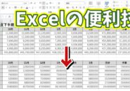 Excelで数値に設定した表示形式を一発で標準に戻せる便利技
