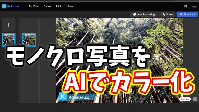 古いモノクロ写真をAIでカラー化できるおすすめWebサービス 【kolorize】