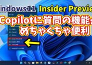 【Windows11 insider Previewでテスト実装中】「Copilotに質問」の機能が神すぎる！