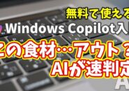 Windows Copilot超入門【50】この食材まだ食べられる？AIに判定してもらう