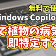 Windows Copilot超入門【51】AIで植物の病気を特定！Copilotが教える簡単ケア術