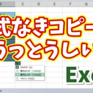 【Excel時短術】書式を崩さず同じデータを連続セルに一瞬で入力する方法